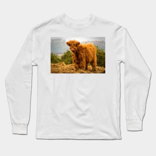 Highland calf Long Sleeve T-Shirt